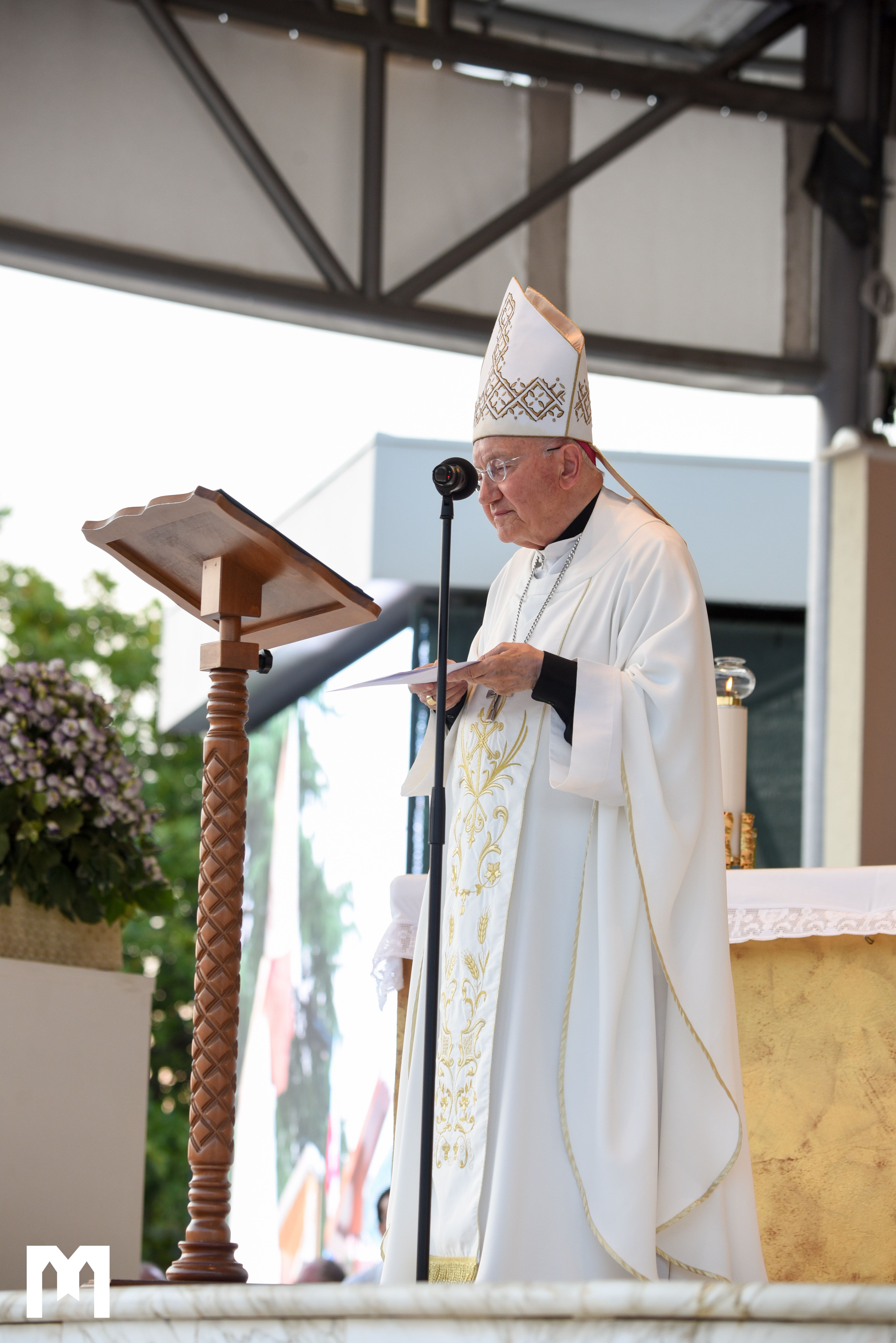 Quarto giorno del 37° Festival Internazionale dei Giovani Arcivescovo Aldo Cavalli: “Medjugorje è un giardino ricolmo di frutti di grazia, di pace, di fede…”